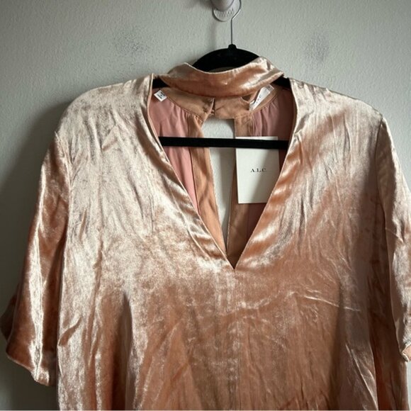 ALC Sz 6 NWT Blaise Dusty Pink Velvet Chocker Relaxed Party Blouse - Picture 6 of 12